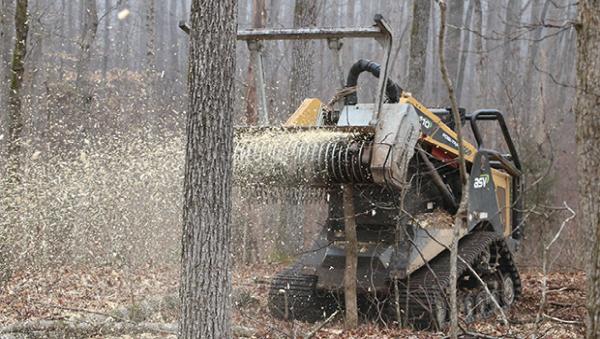 Branch and Vine Services