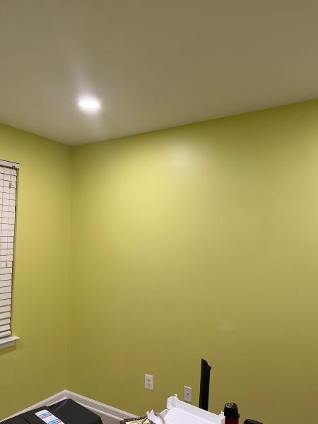 Roys Painting Co Inc