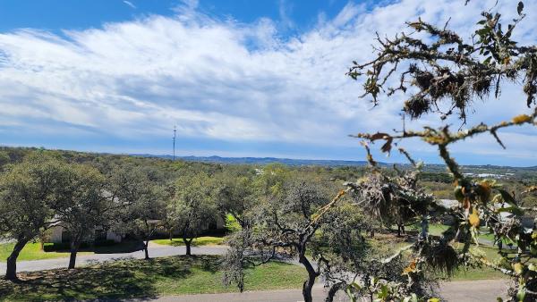 Precise Tree Care & Removal
