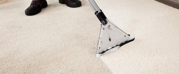 Middletown Carpet Cleaners by Ameribest