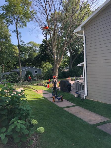 Heartwood Tree Company