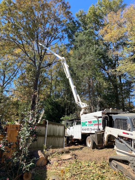 BNC Tree Service