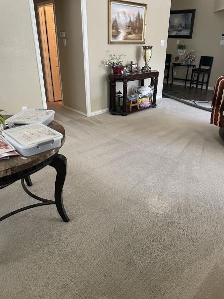 Lloyd Carpet Cleaning