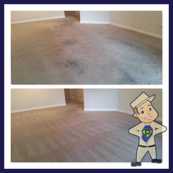 Proaction Carpet Care LLC