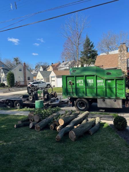 Levi's Tree Service LLC