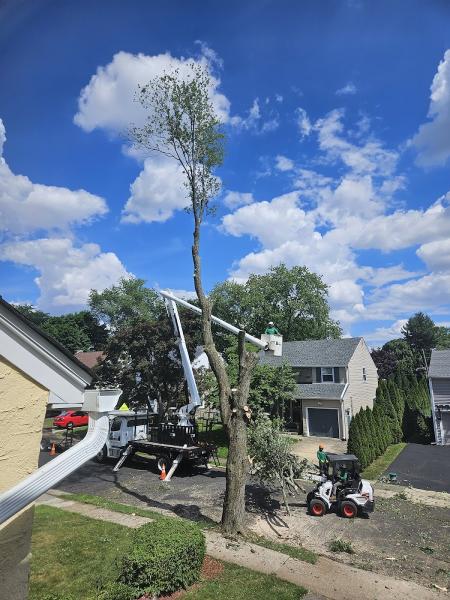 Jake's Tree Service