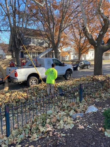 AC Lawn Care