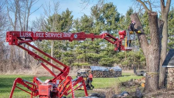 Lusk Tree Service