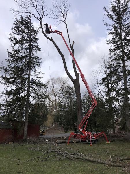 Lusk Tree Service