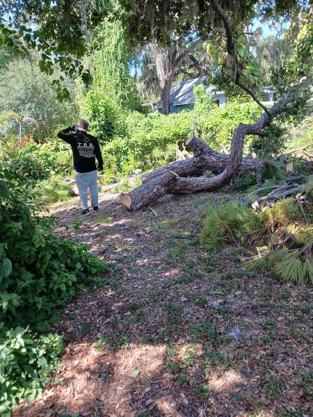 T.b.b Tree Service