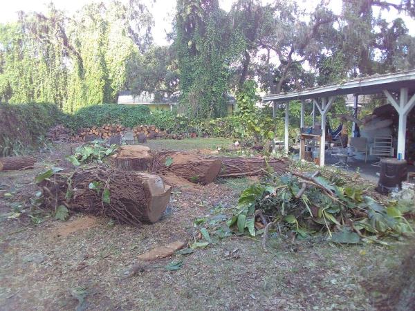 T.b.b Tree Service
