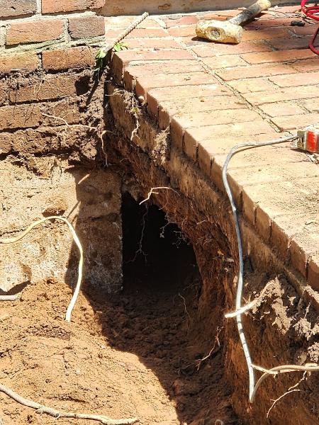 Thoroughbred Plumbing