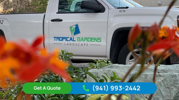 Tropical Gardens Landscape
