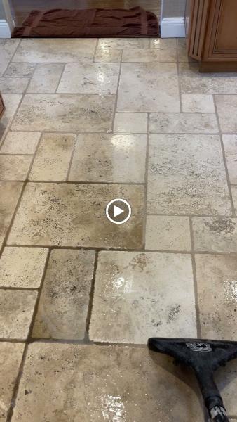 Steam Squad Carpet & Upholstery Cleaners Long Island