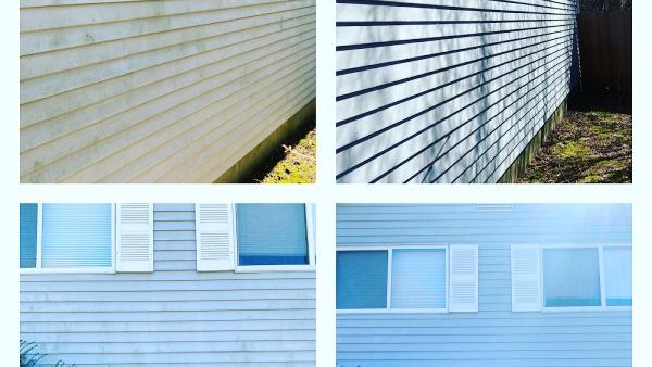 Tree City Exterior Cleaning