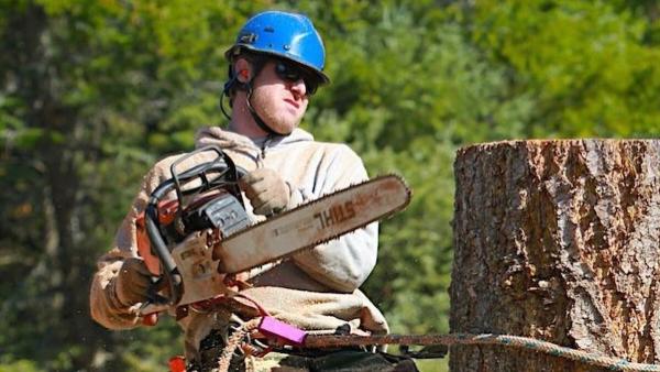Western Sky Tree Service