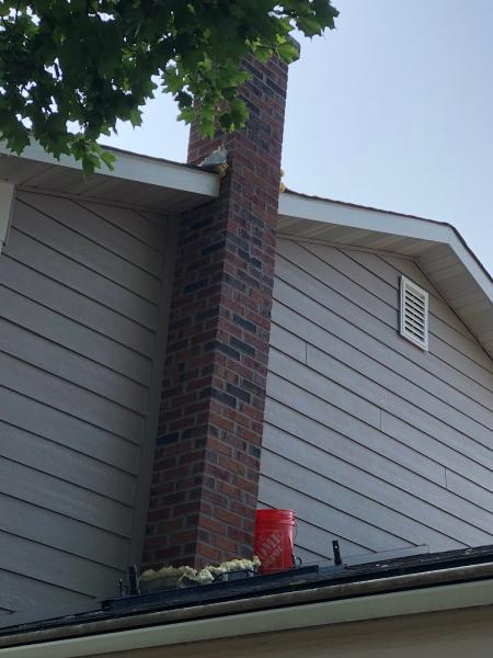 The Chimney Pro's