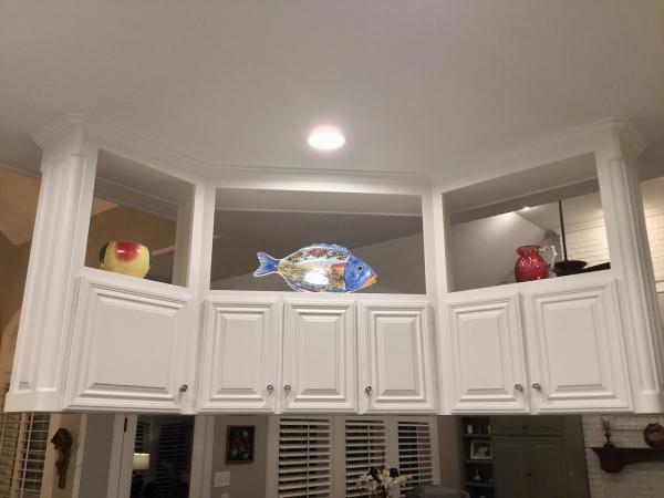 Fernando's Painting & Remodeling