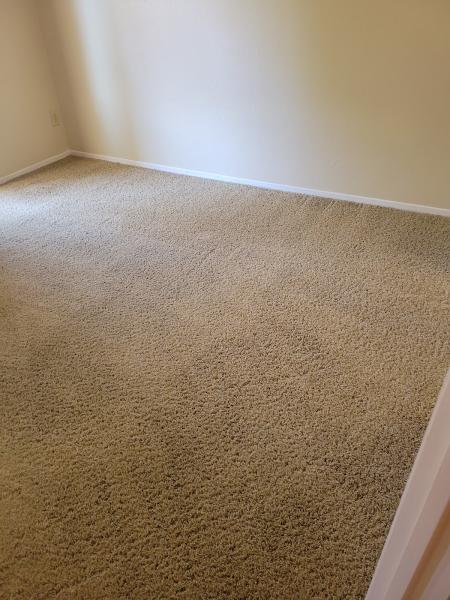 Done Your Way Carpet and Tile Cleaning