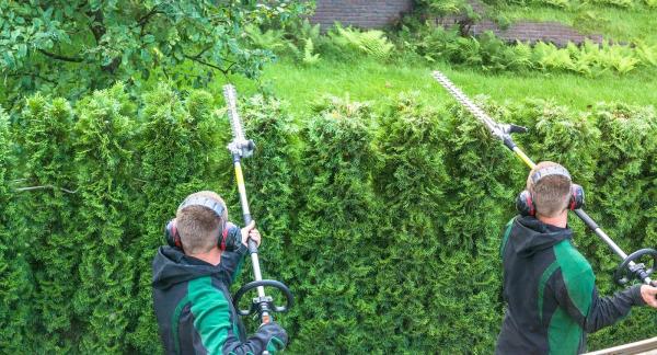 Land Love Lawn Maintenance