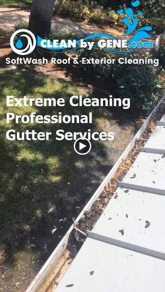 Clean by Gene