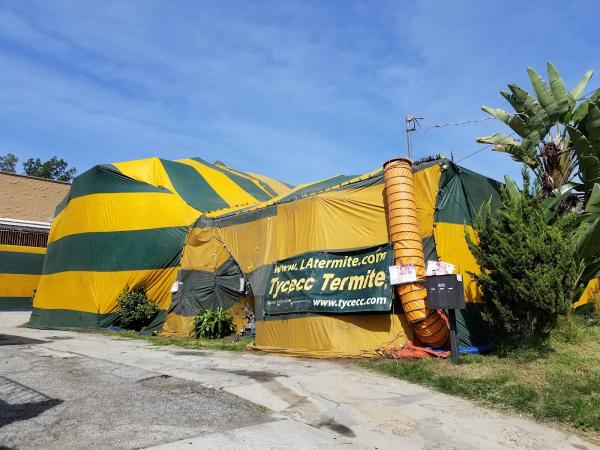 Tycecc Termite Control Co.