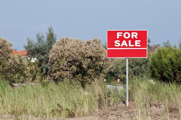 Rebekah Graham-Real Estate Agent With Future Real Estate
