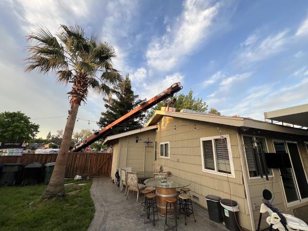 Sacramento Roofing Inc