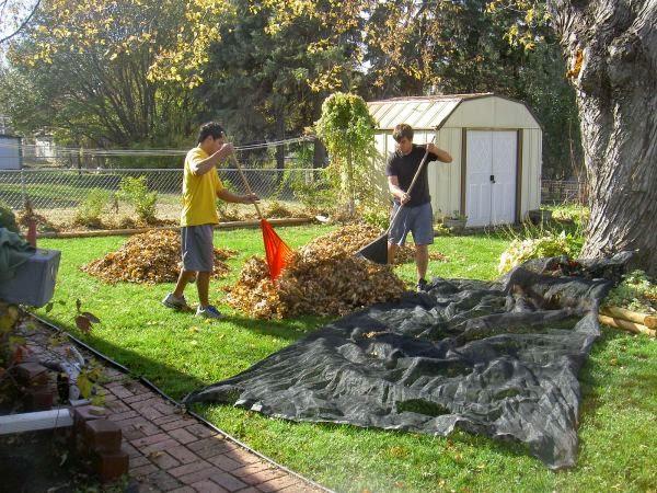 Infinity Lawn Care