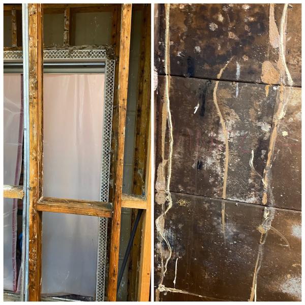 Mold Care Corp