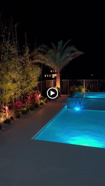 Coastal Creations Landscaping and Palm Services