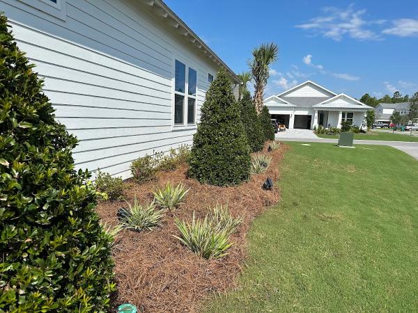 Coastal Creations Landscaping and Palm Services