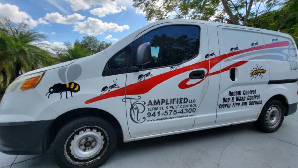 Amplified Termite & Pest Control LLC