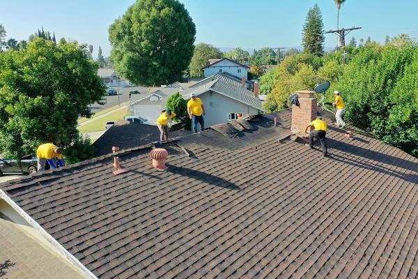Bumble Roofing