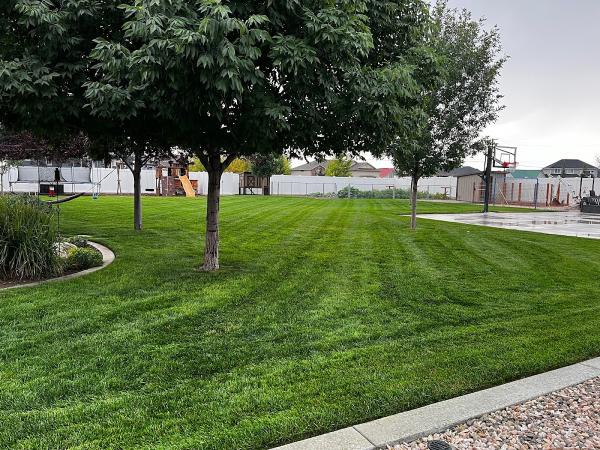 All Care Lawn & Ground Maintenance