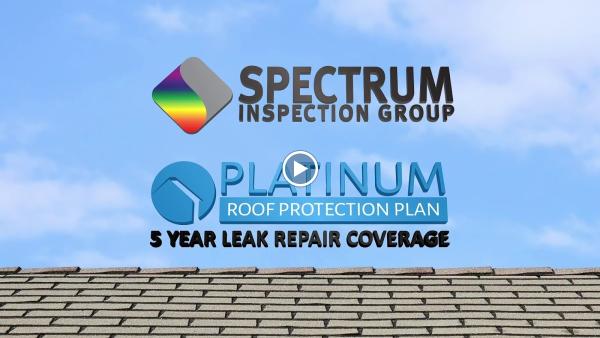 Spectrum Inspection Group