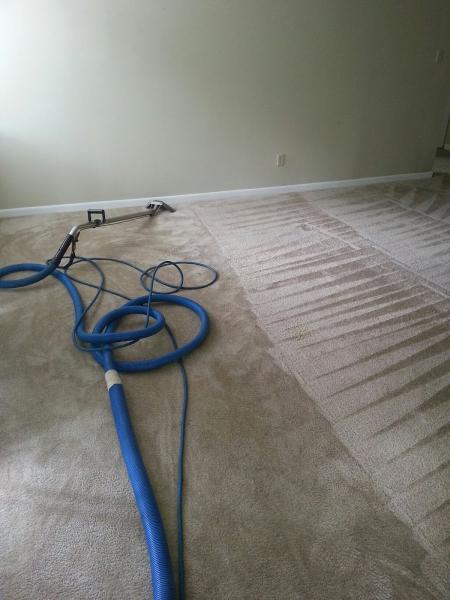 Carpet Doctor