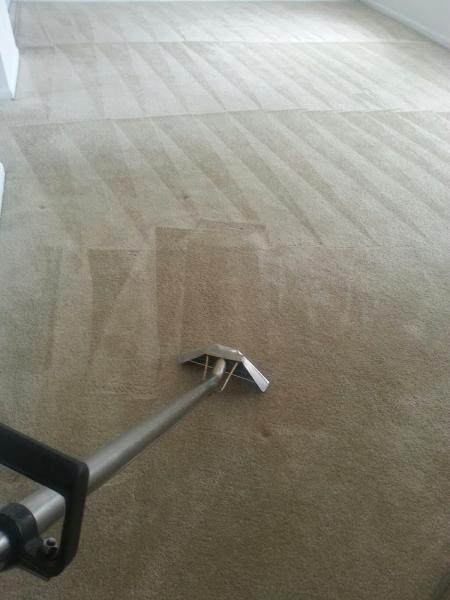 Carpet Doctor