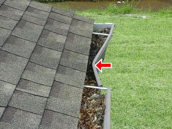 Hound Dog Home Inspections