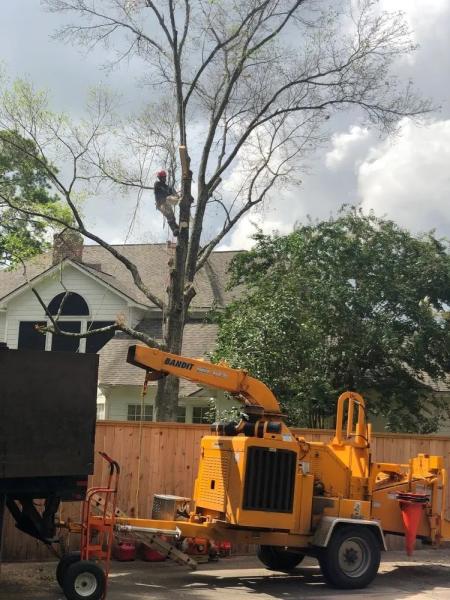Texas Tree Elite LLC