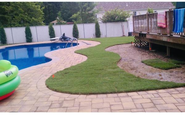 Suffolk Sod Father