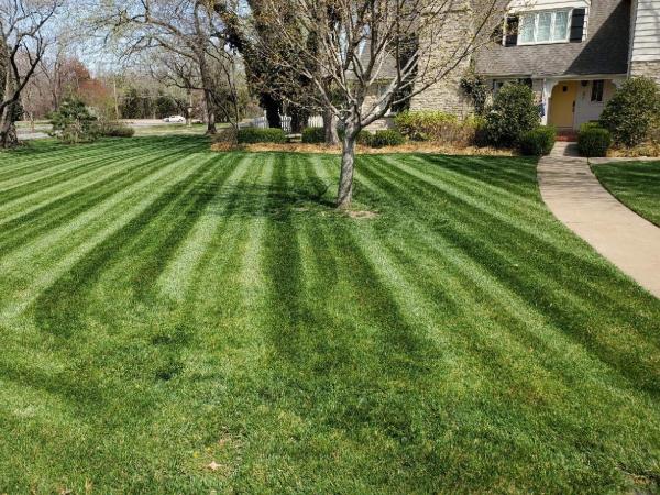 A & B Lawn Service