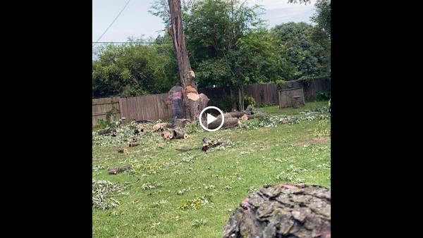 Kelley Tree Service