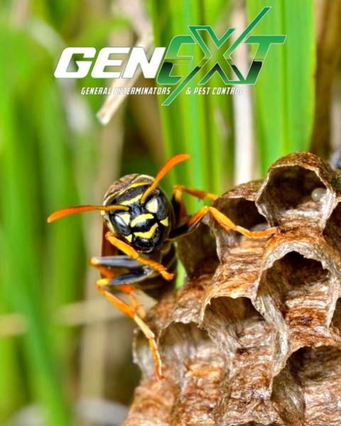 Genext: General Extermination & Pest Control LLC
