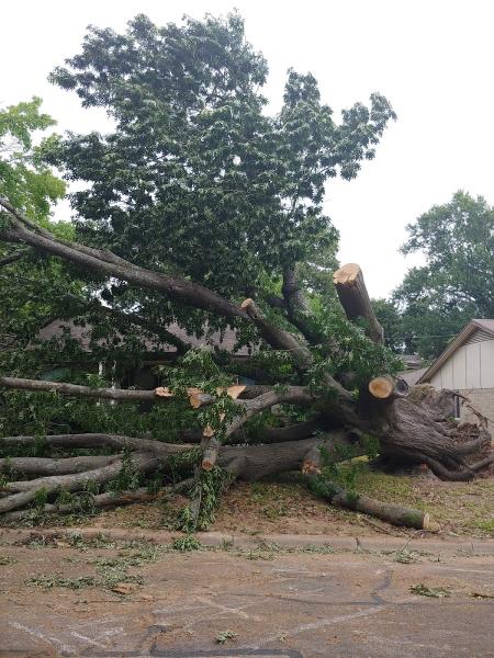 Treetop Tree Service
