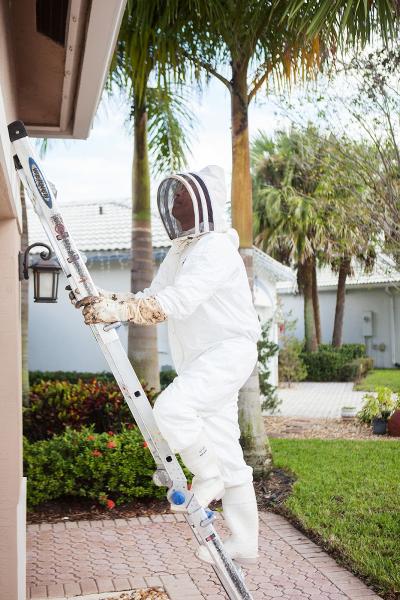 Buglife Pest Control