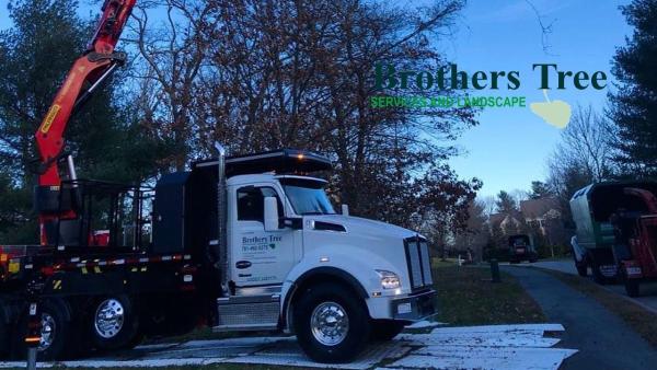 Brothers Tree Services & Landscape