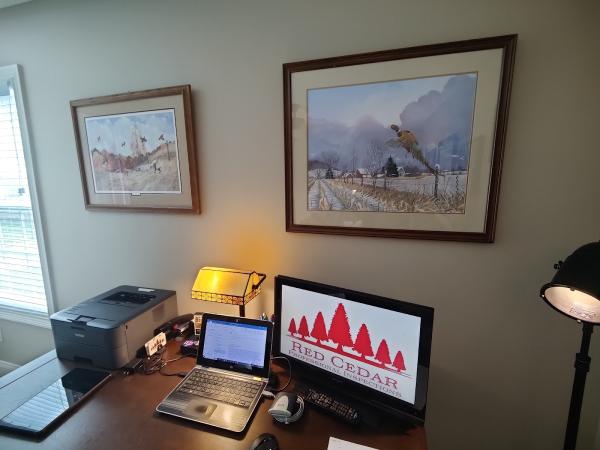 Red Cedar Professional Inspections
