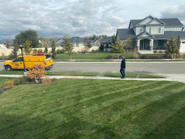 Action Lawn and Yard
