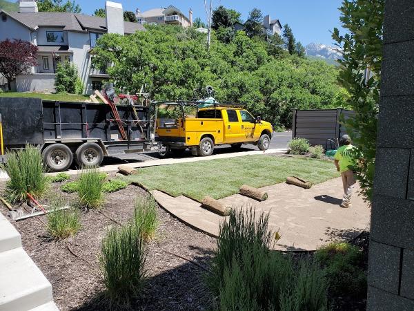 Action Lawn and Yard
